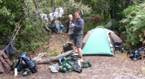 Prion Beach campsite